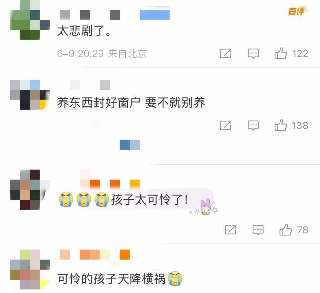 九游娱乐网站:天降乌龟砸中幼童致死关于高空坠物这些知识要知道(图1)